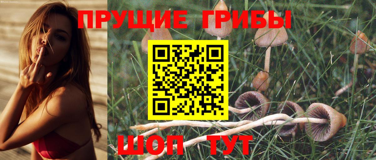 Псилоцибиновые грибы Psilocybine cubensis  Галлюциногенные грибы Cubensis  Азов  Вход с VPN 